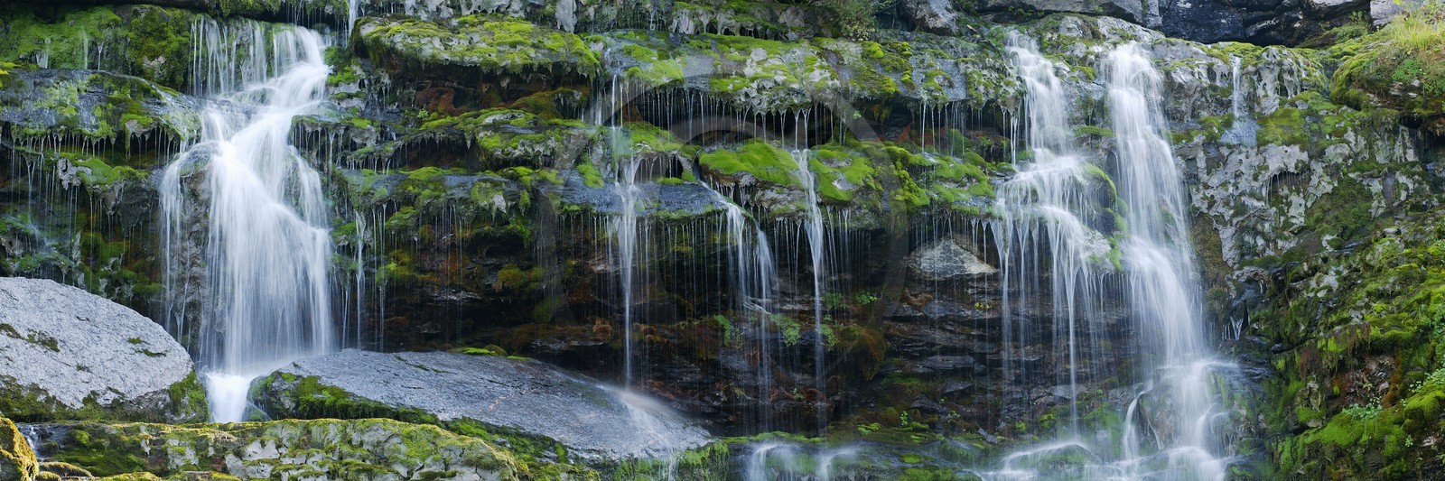 Réserve naturelle de Sixt-Passy, Cascades du Torrent de Salles