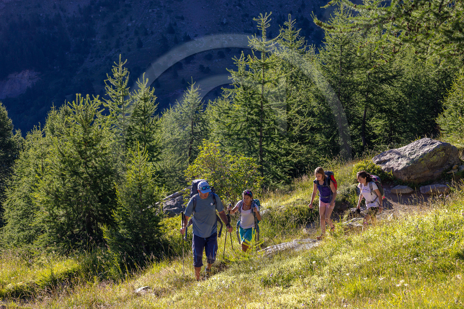 Vallée de Freissinières