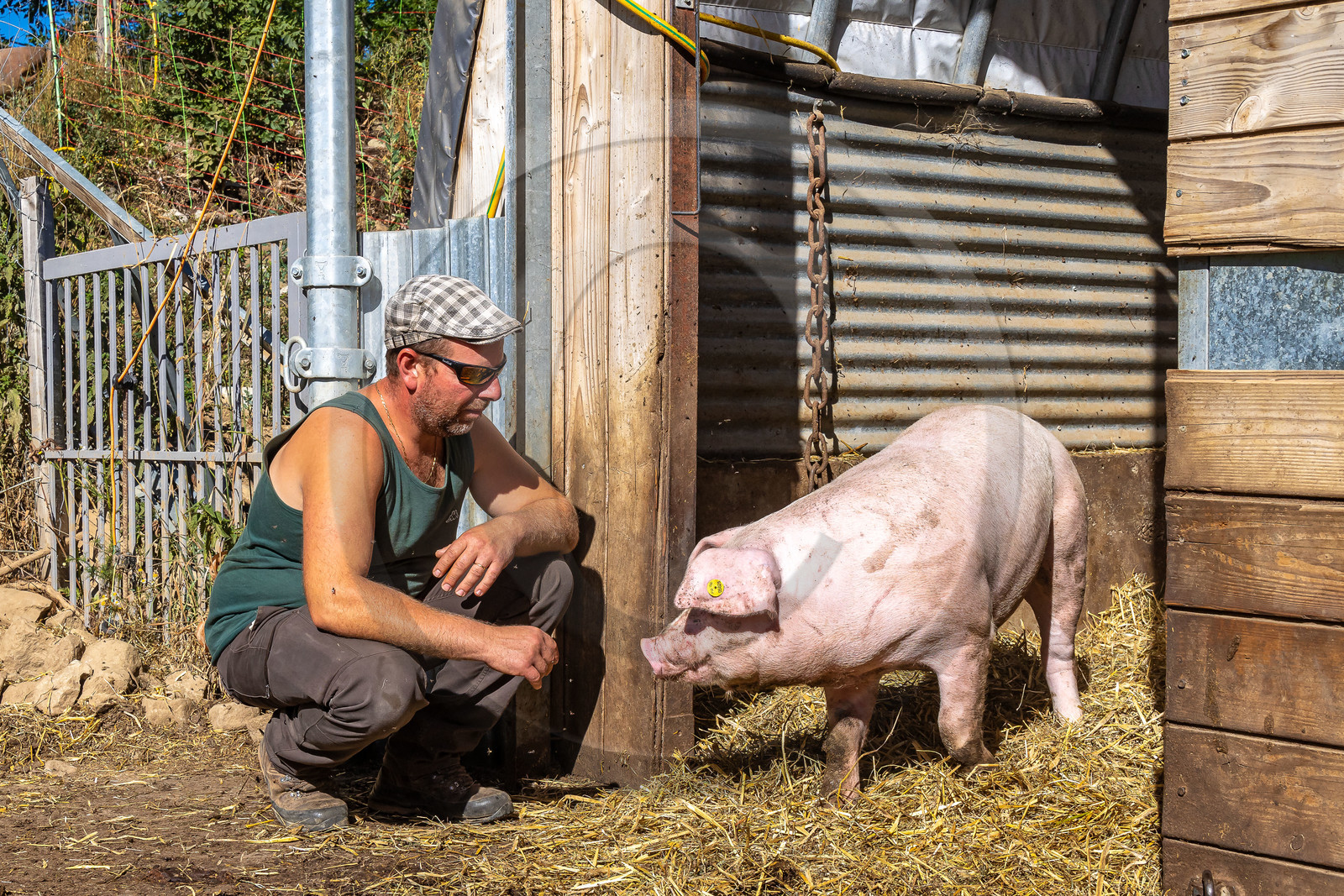 Ferme des Bichoux