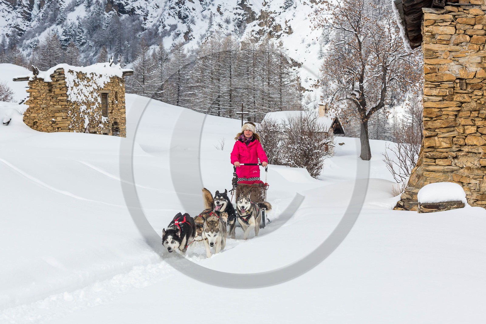 La Condamine-Châtelard, Sainte-Anne la Condamine, Coralie Bonnerot et ses chiens de traineau
