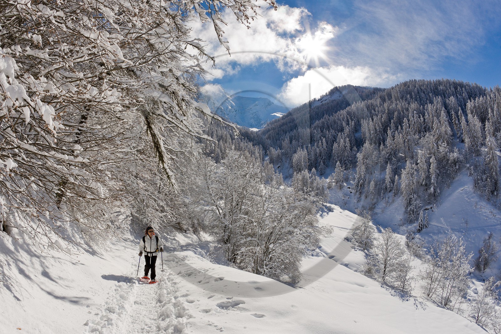 Randonnée raquettes
