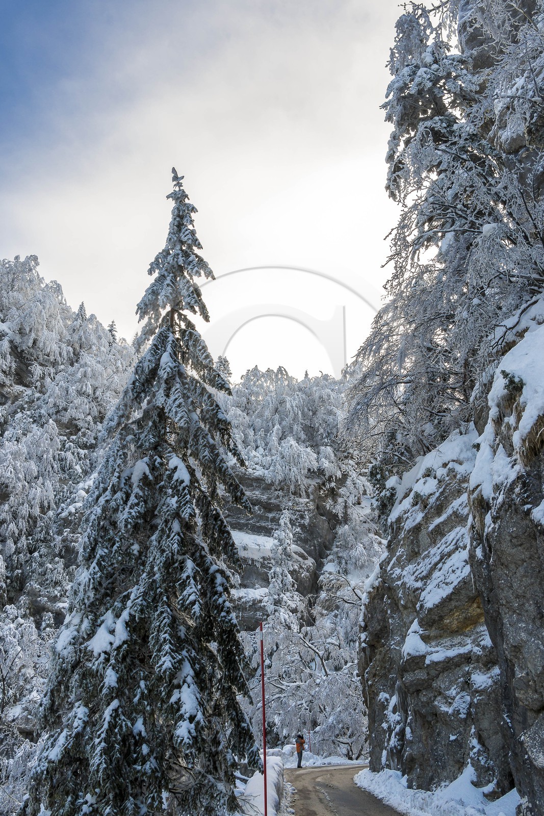 ENS de l'Isère, Les Ecouges ENS de l'Isère, Les Ecouges
