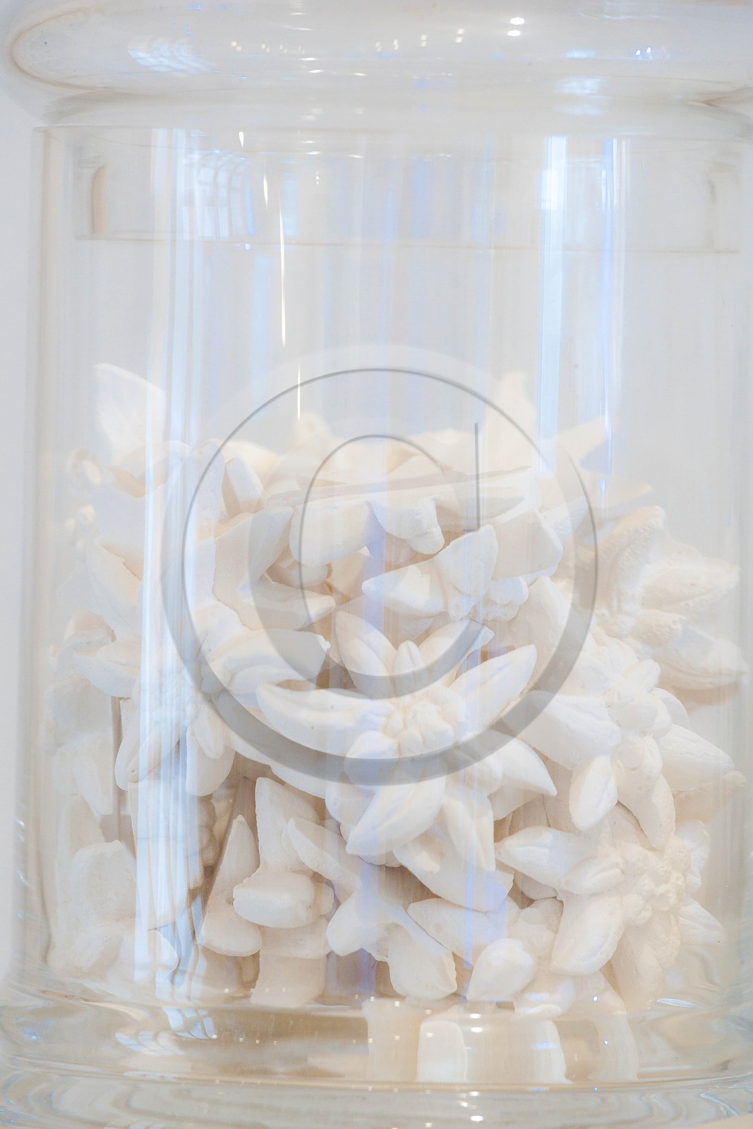 Hammam Spa Institut Hammam Spa Institut