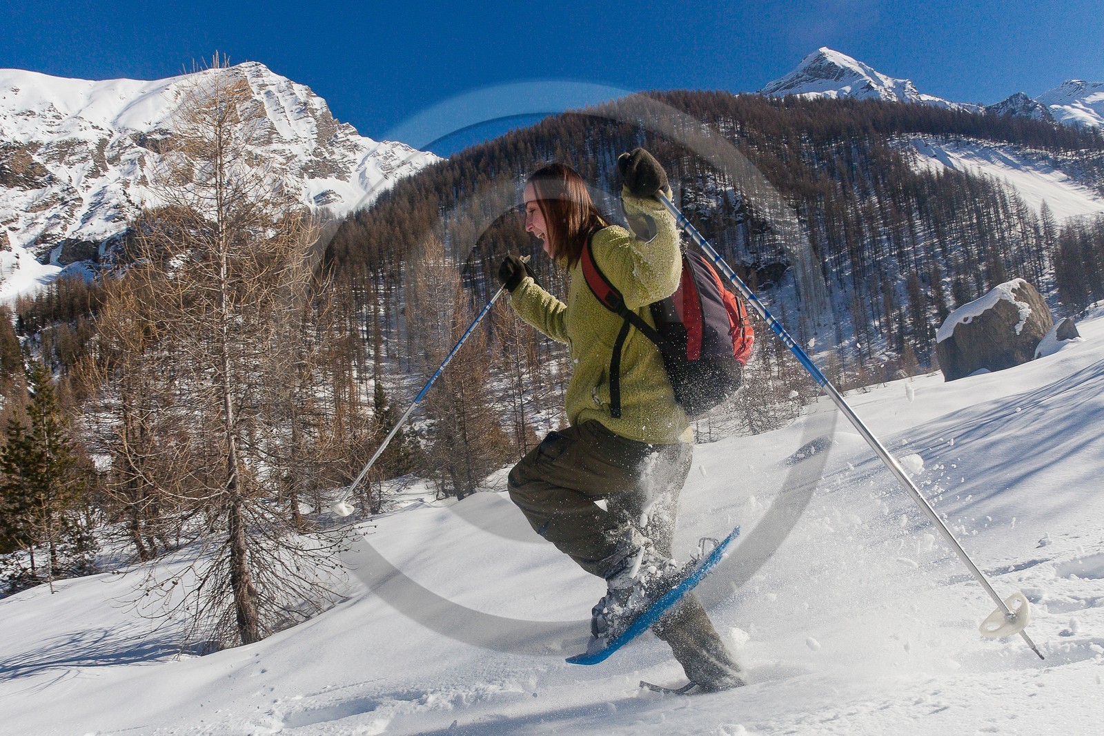 Randonnée raquettes
