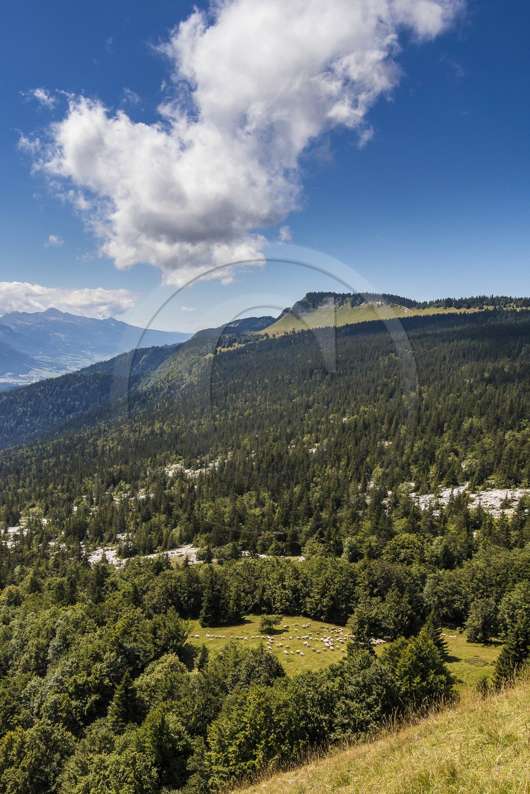 ENS de l'Isère, Plateau de la Molière et du Sornin, du plateau de Sornin