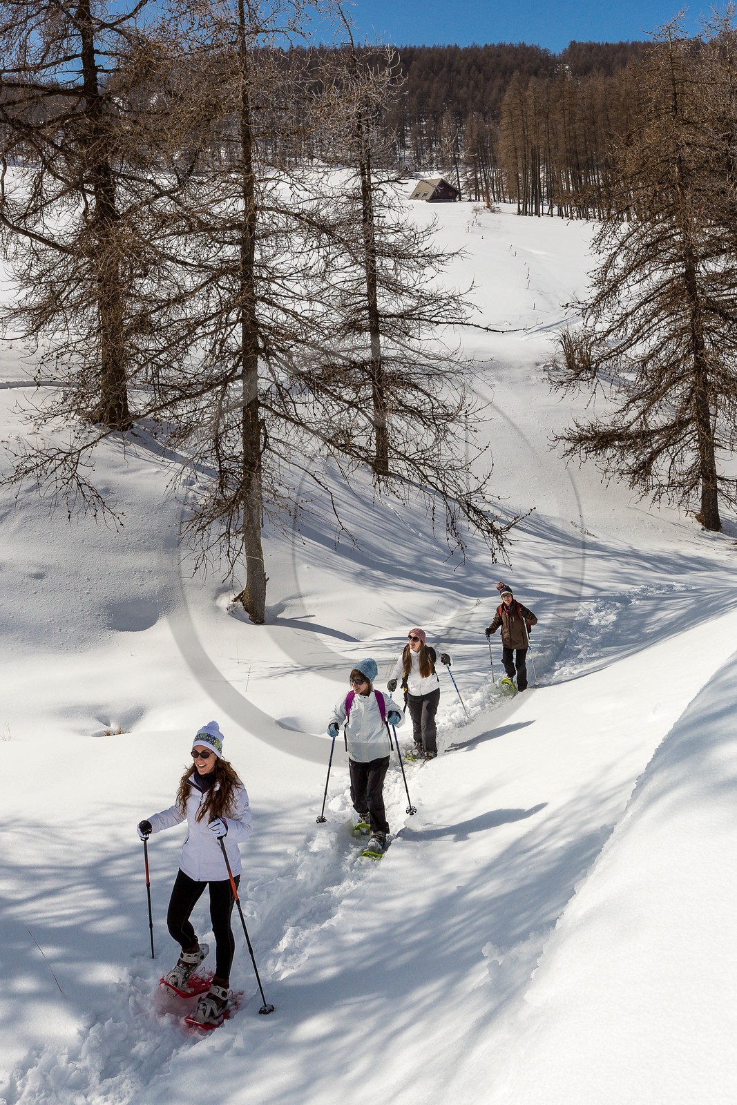 vallée de l'Ubaye, randonnée en raquettes à neige