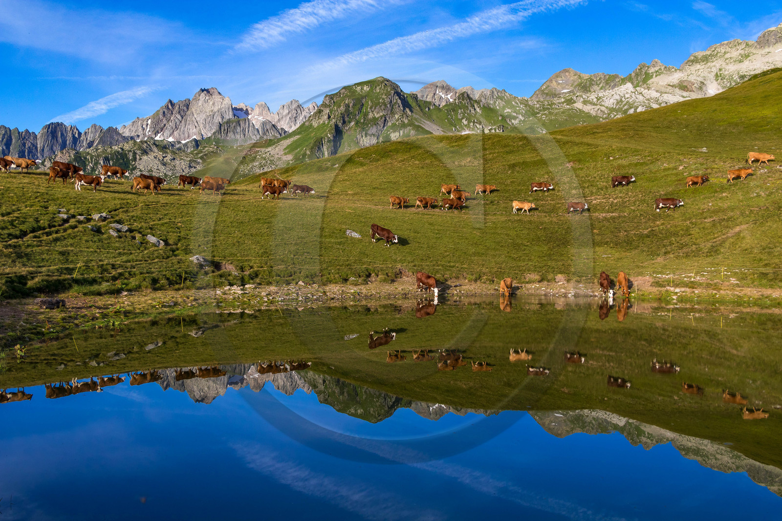 Lac de l'Arpettaz