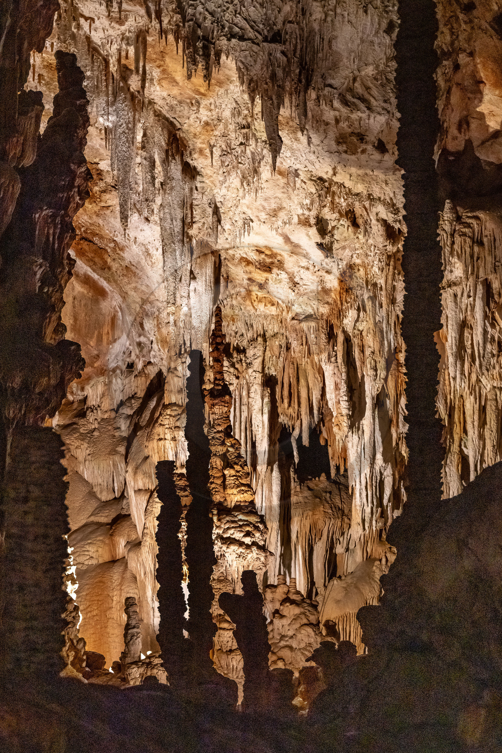 Grotte de Dargilan