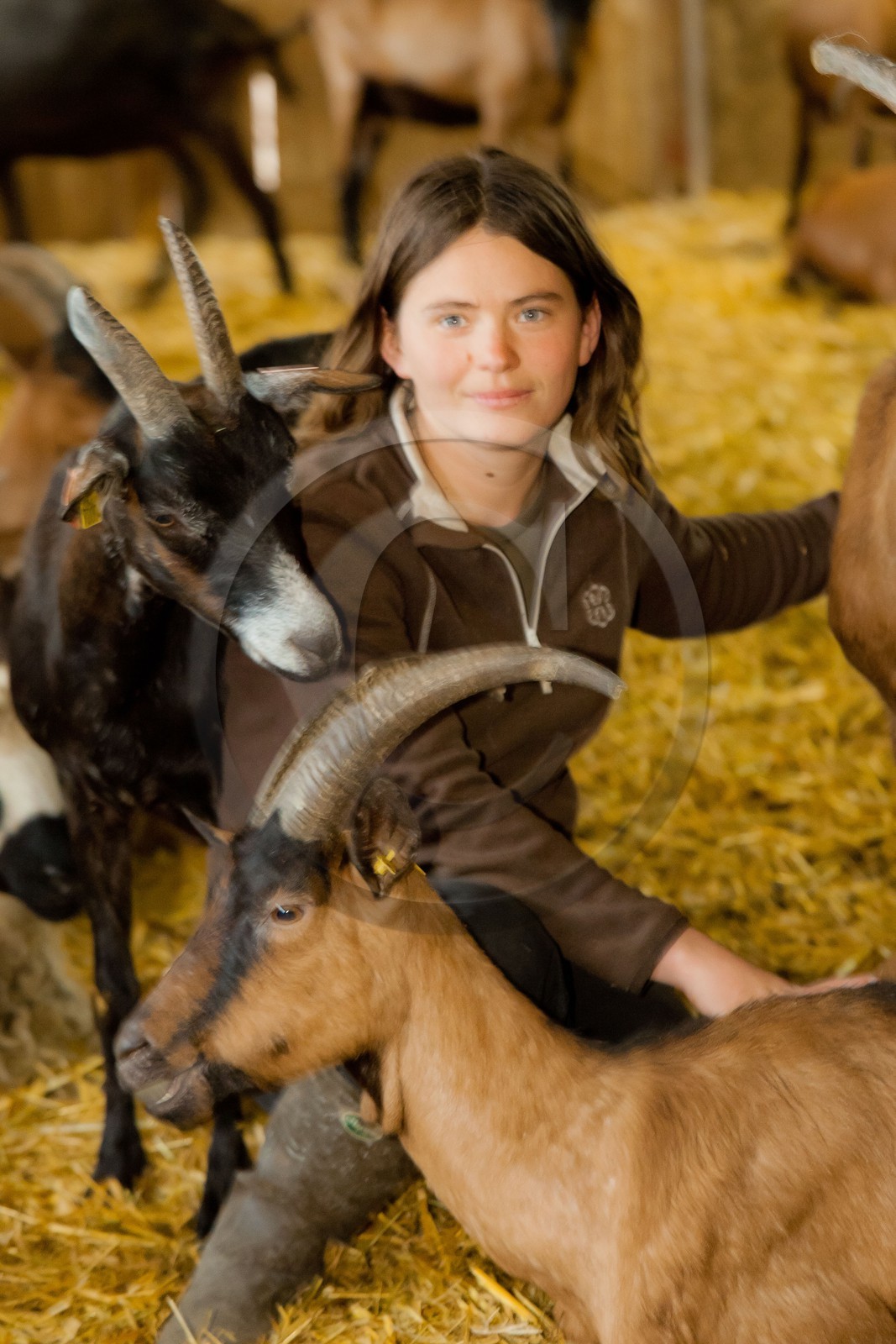 Noémie et Patrick Kreiss, Ferme des Cabrioles