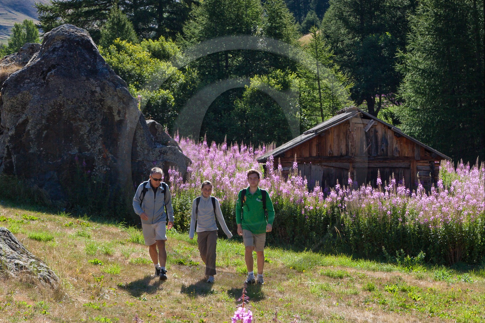 Randonnée montagne