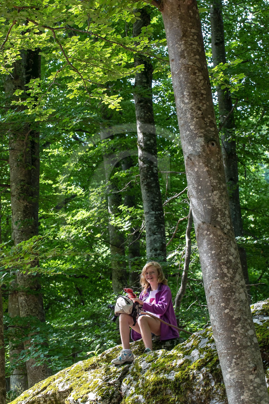 Alpes de Haute-Provence, hêtraie de Pontis