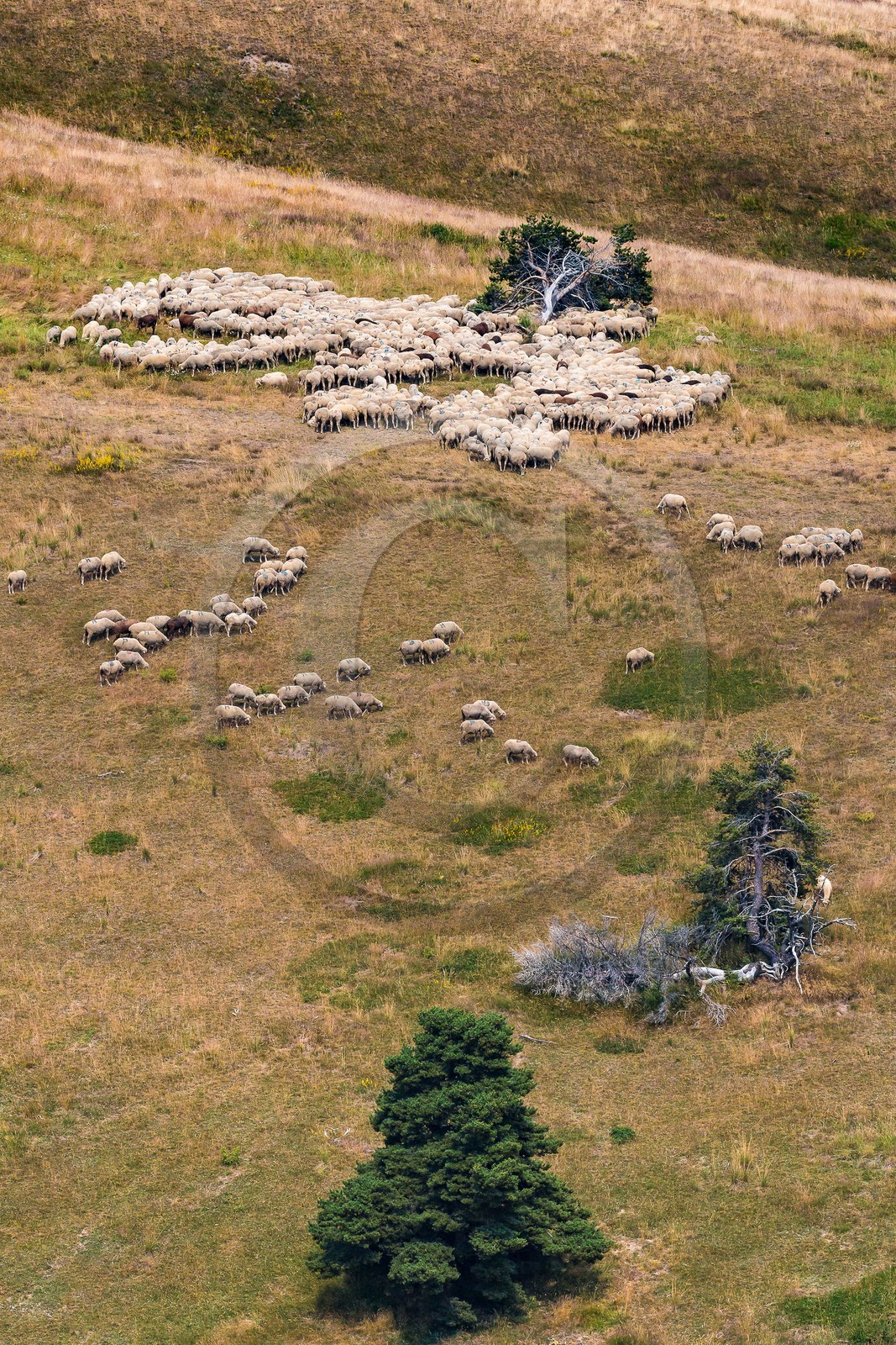 Alpage du Gau