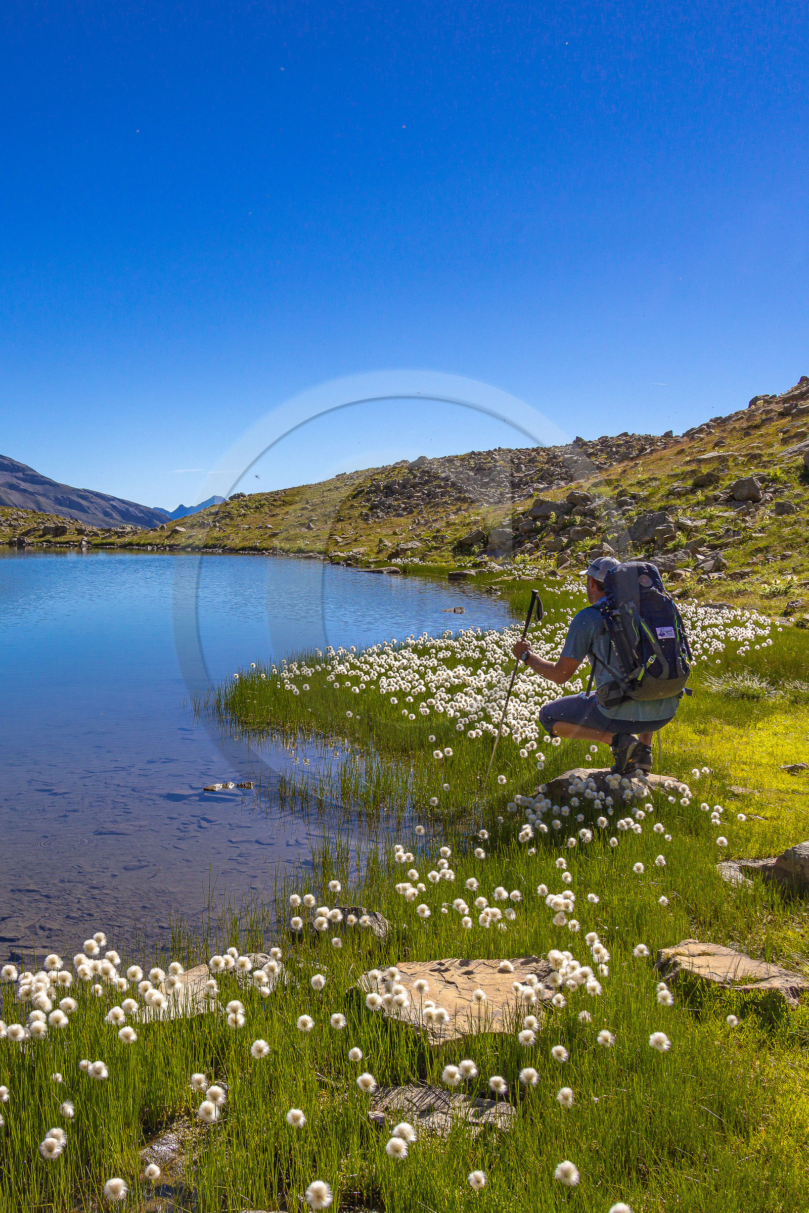 Lac Palluel