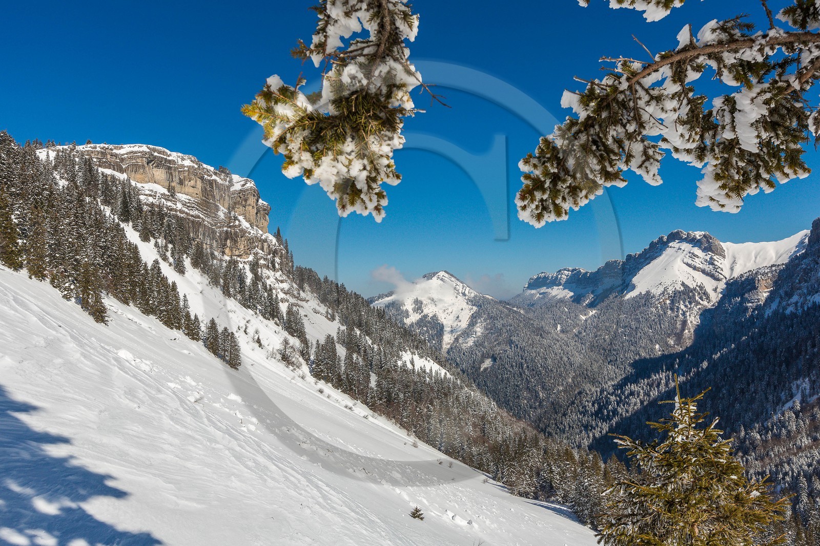 Espace naturel sensible de l'Isère, Col du Coq