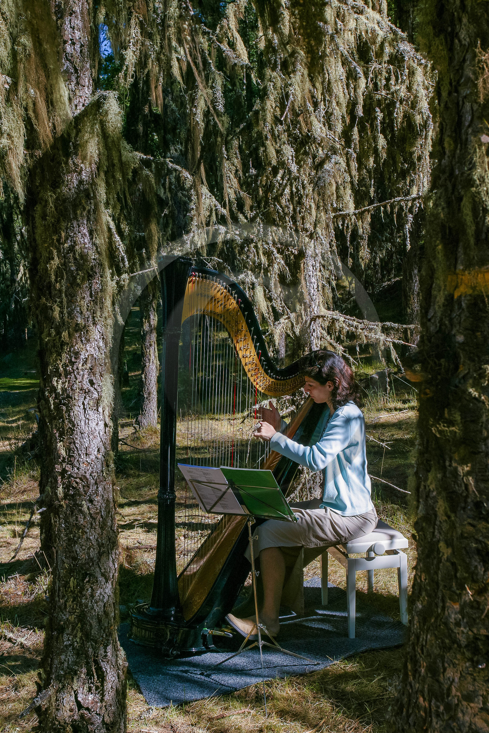 Festival de Chaillol, Iris Topalian, harpe