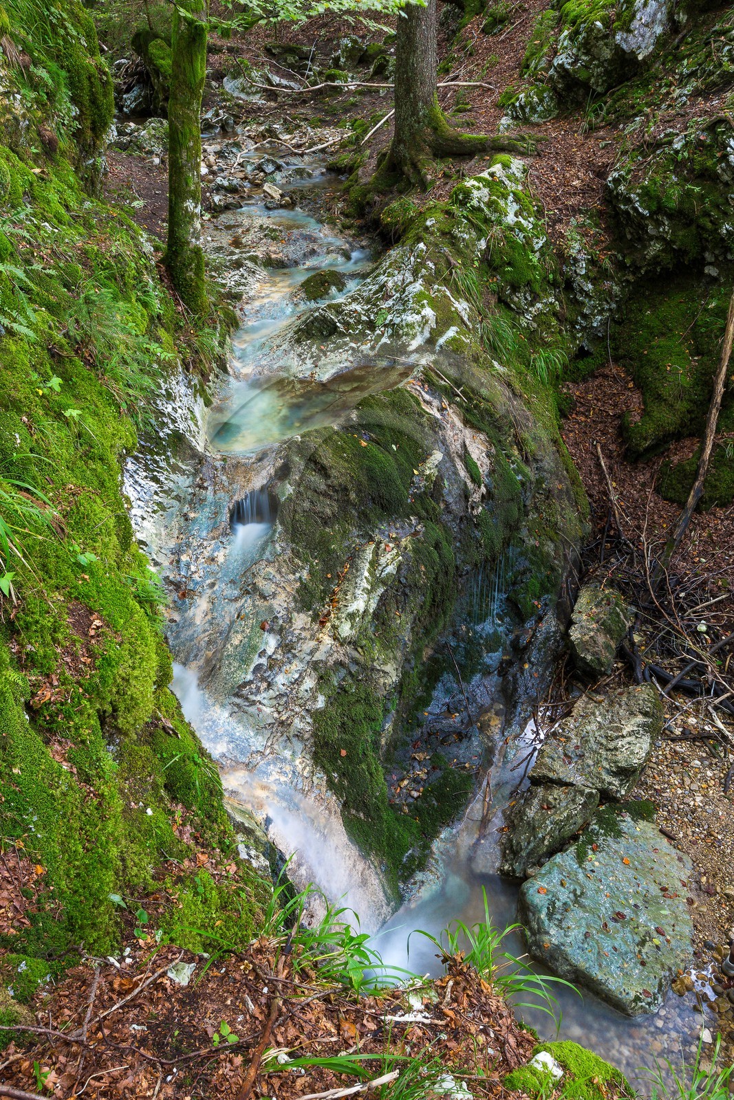ENS de l'Isère, Les Ecouges