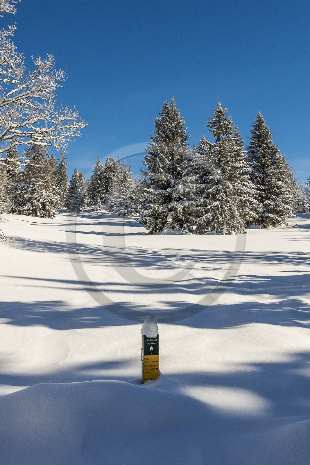 ENS de l'Isère, Plateau de la Molière et du Sornin