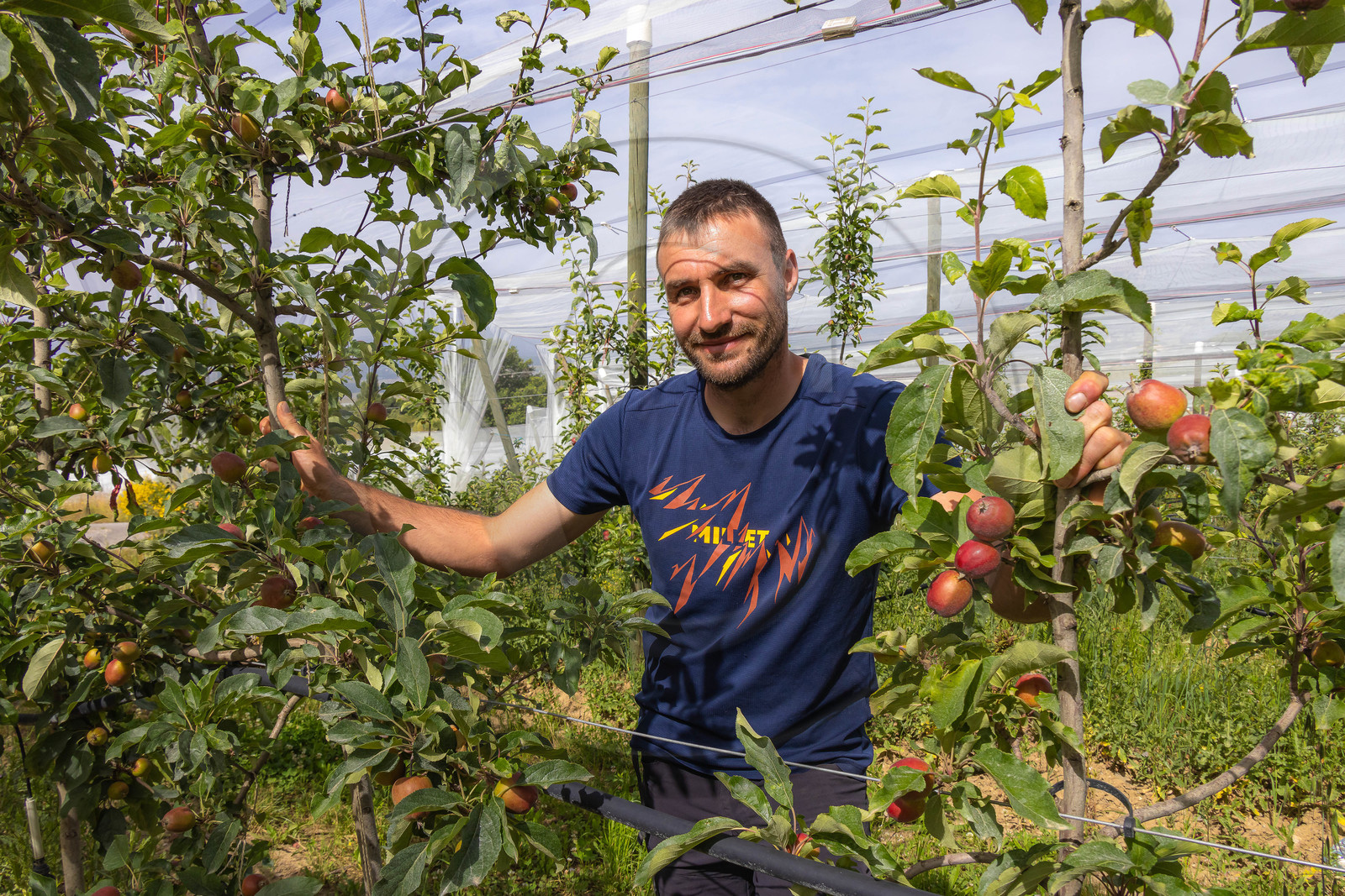 Melve, Gaec de la Maurelle, Adrien Megy