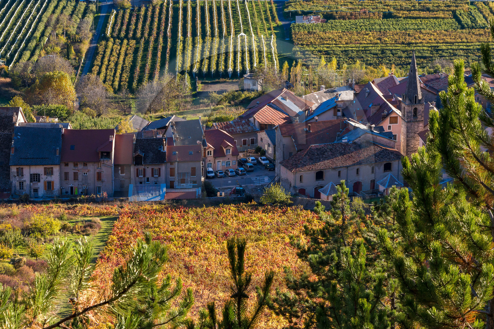 Remollon
