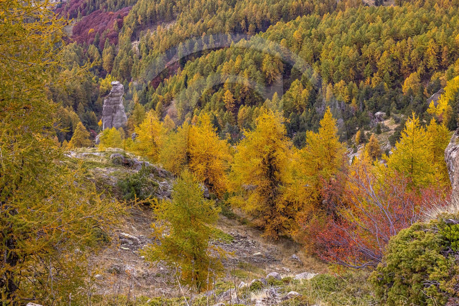 L'automne dans la Vallée du Champsaur