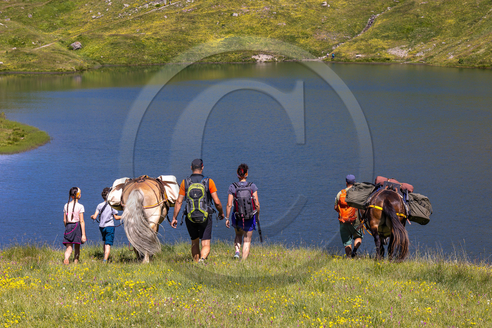 Trek famille avec animaux de bats