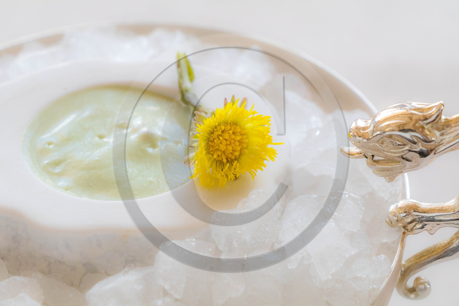 Ce faux caviar du Léman, gelée tremblotante, crème de tussilage Ce faux caviar du Léman, gelée tremblotante, crème de tussilage