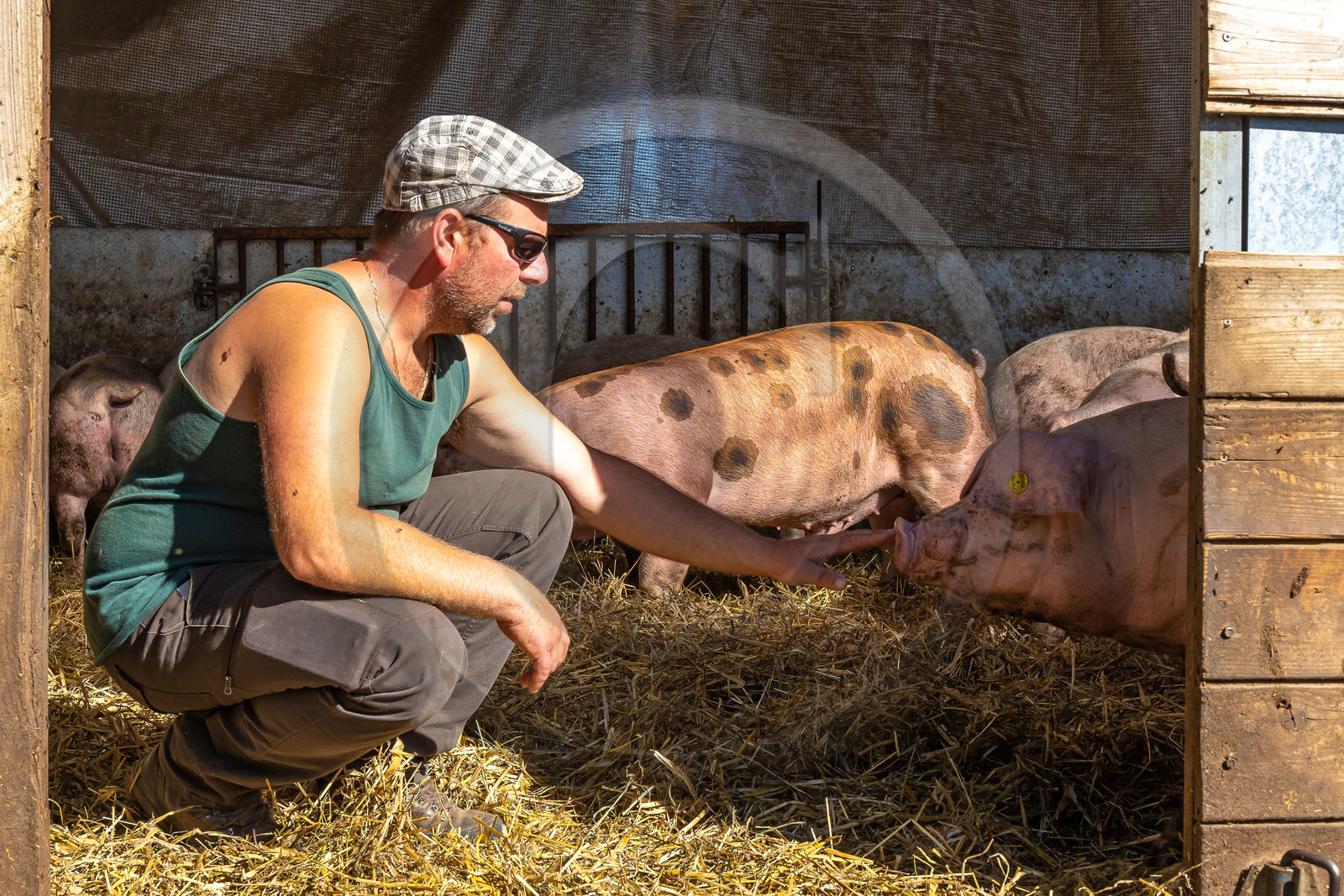 Ferme des Bichoux