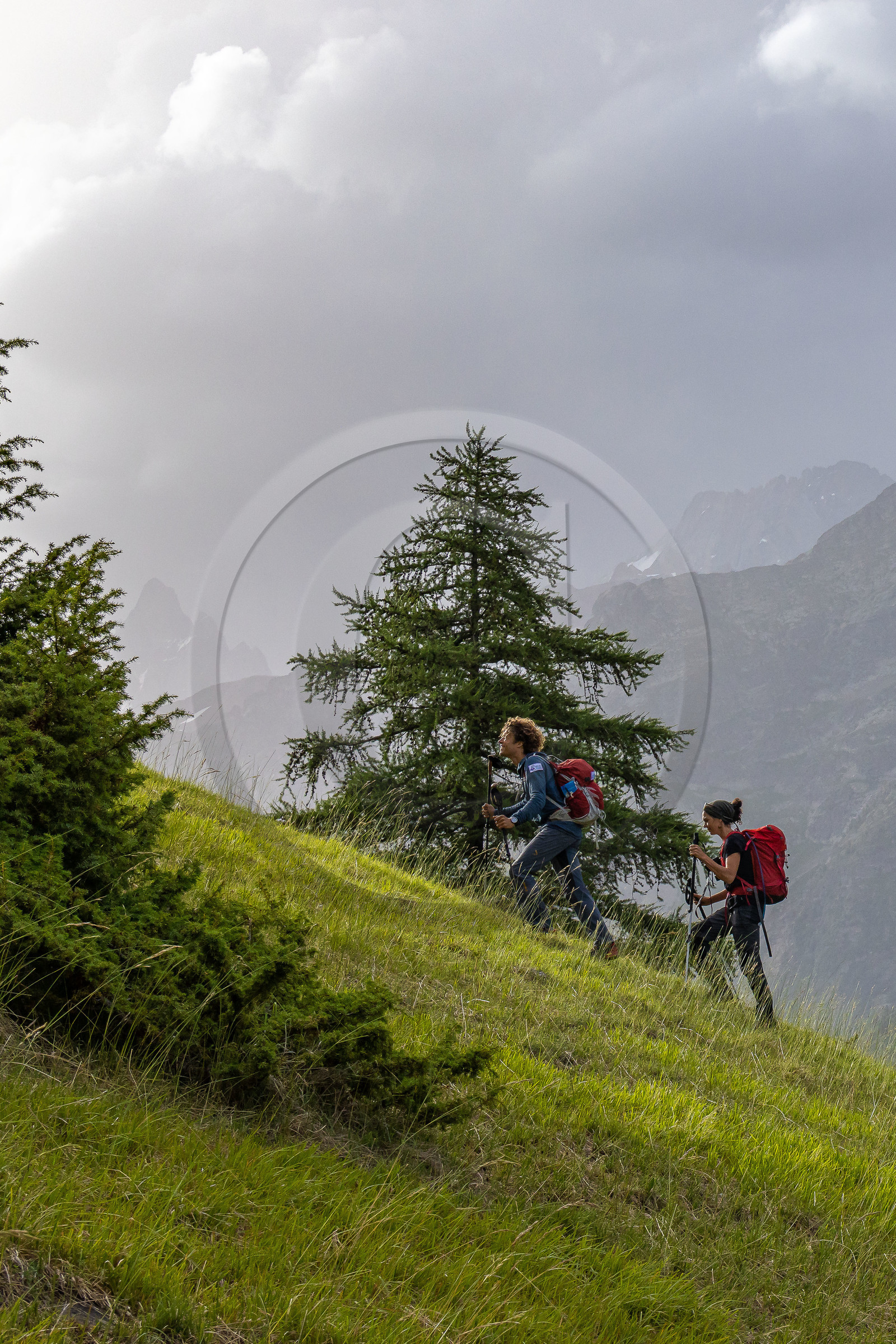Terres de trek