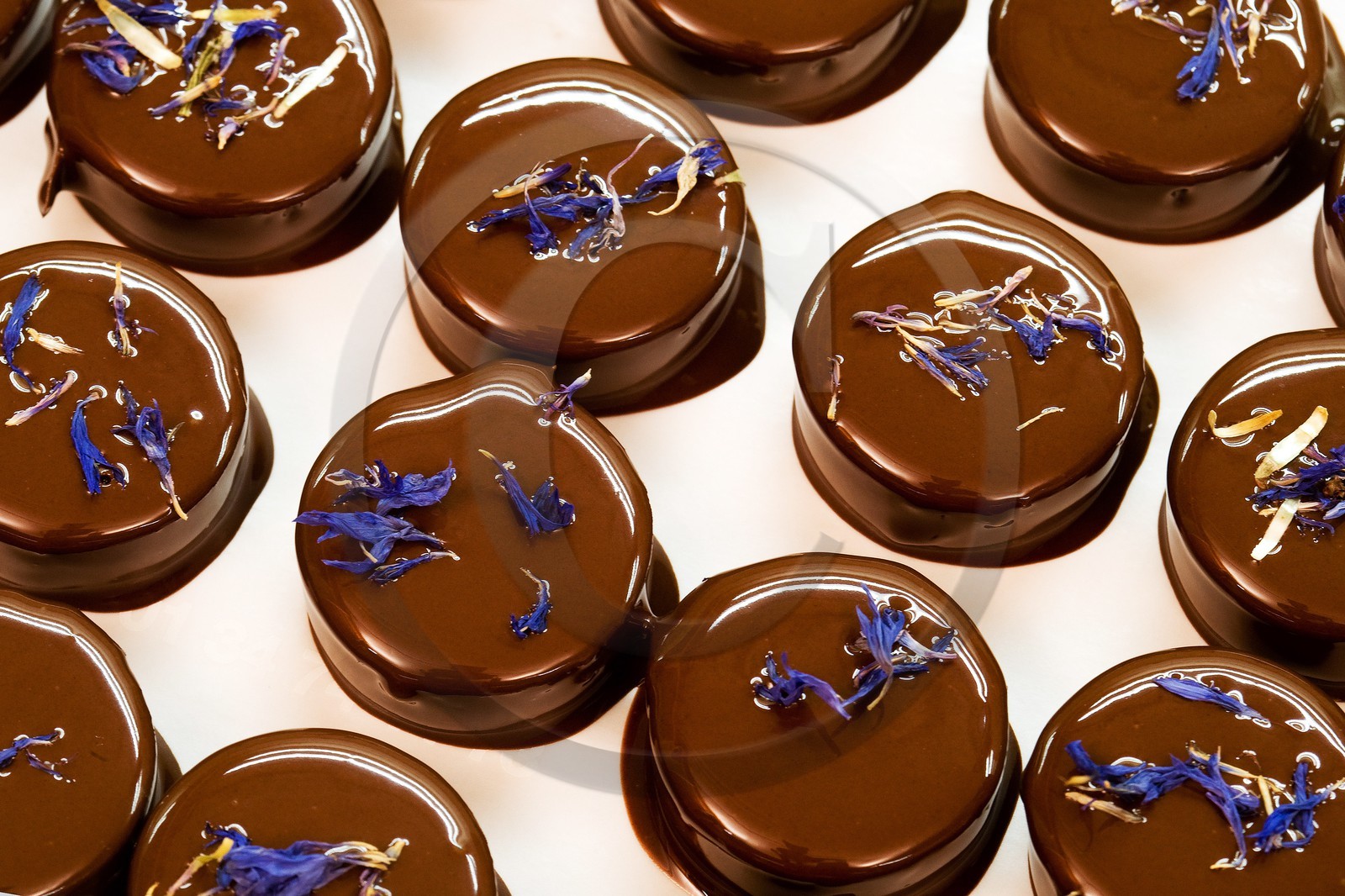 Luc Eyriey, Maître chocolatier à Embrun