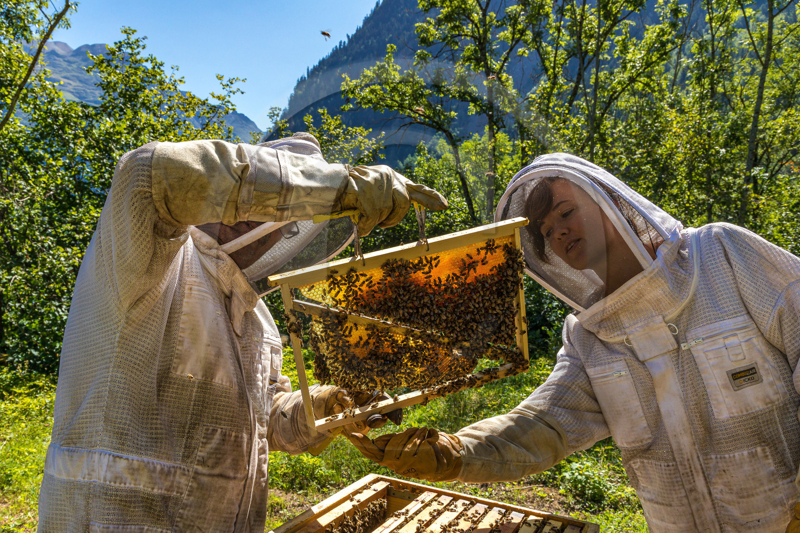 Margaux and Didier Pissard, beekeepers