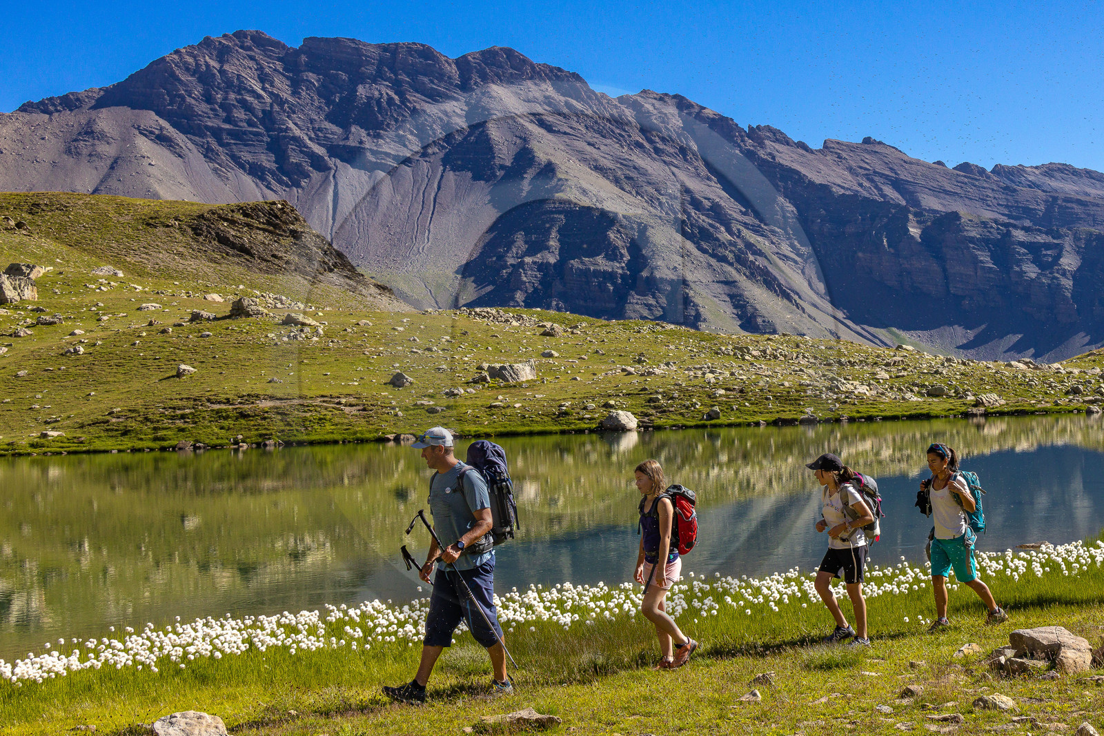 Lac Palluel