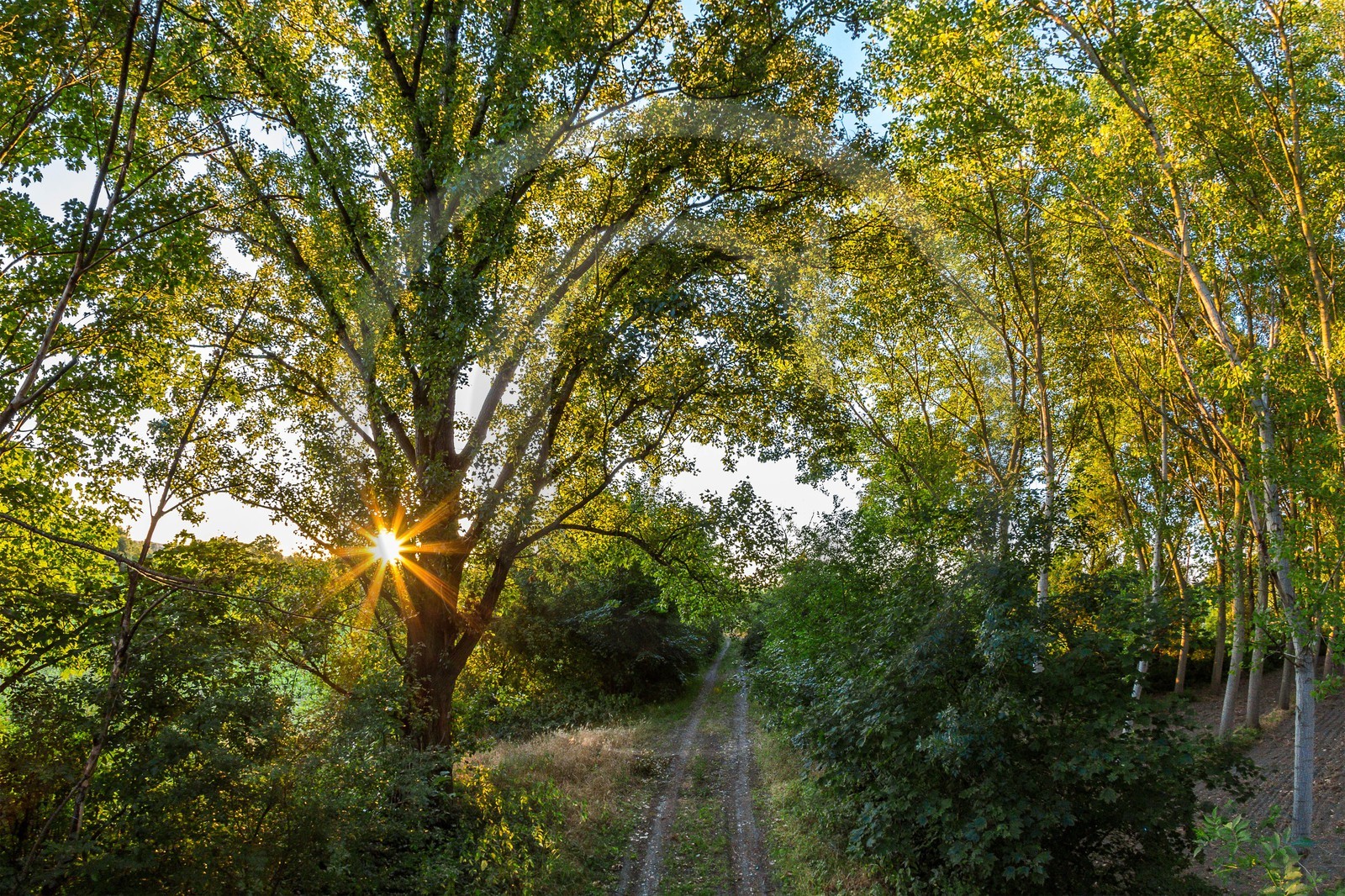 ENS de l'Isère, , le méandre des Oves