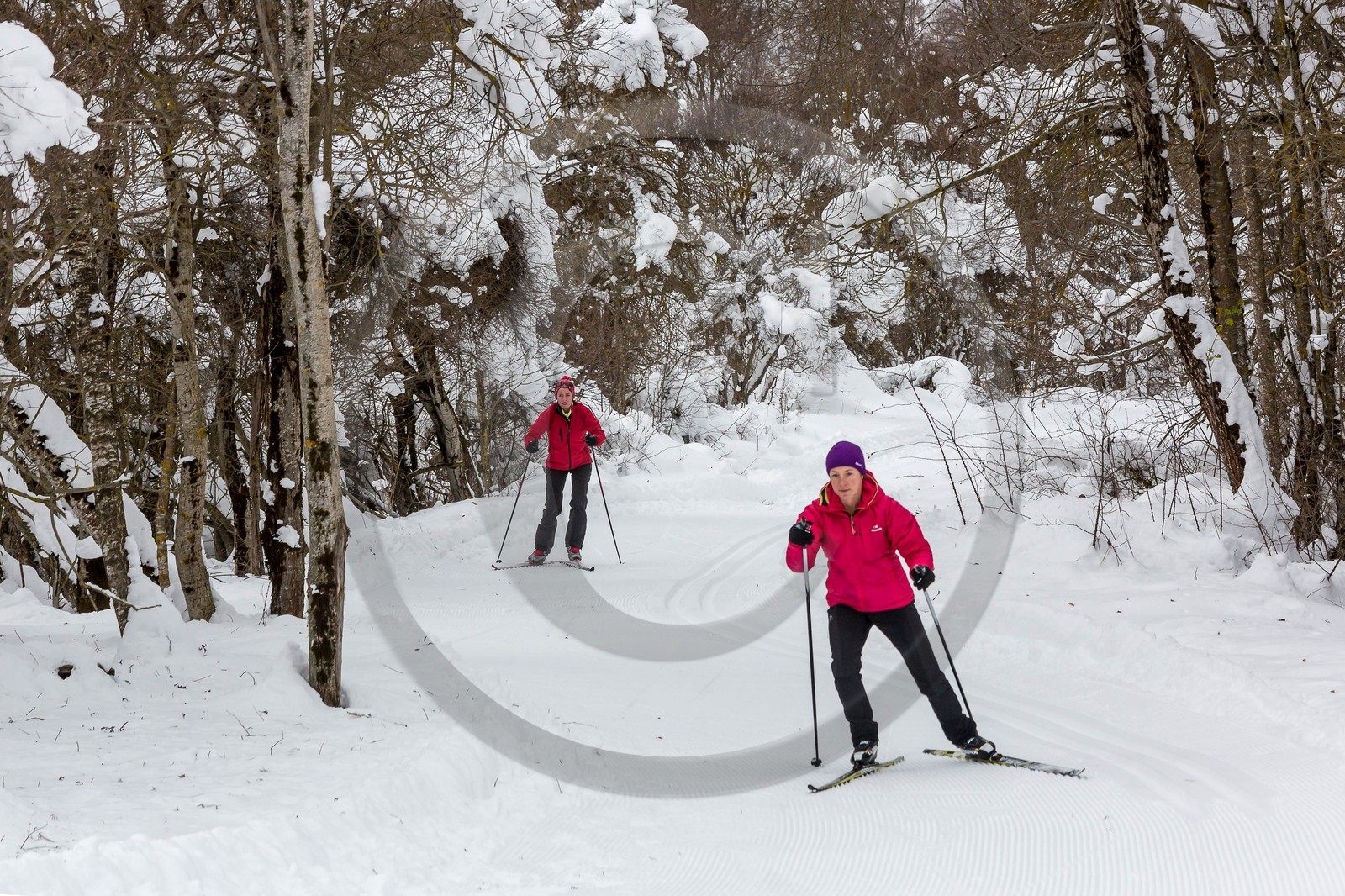 La Chapelle-en-Valgaudemar, ski nordique