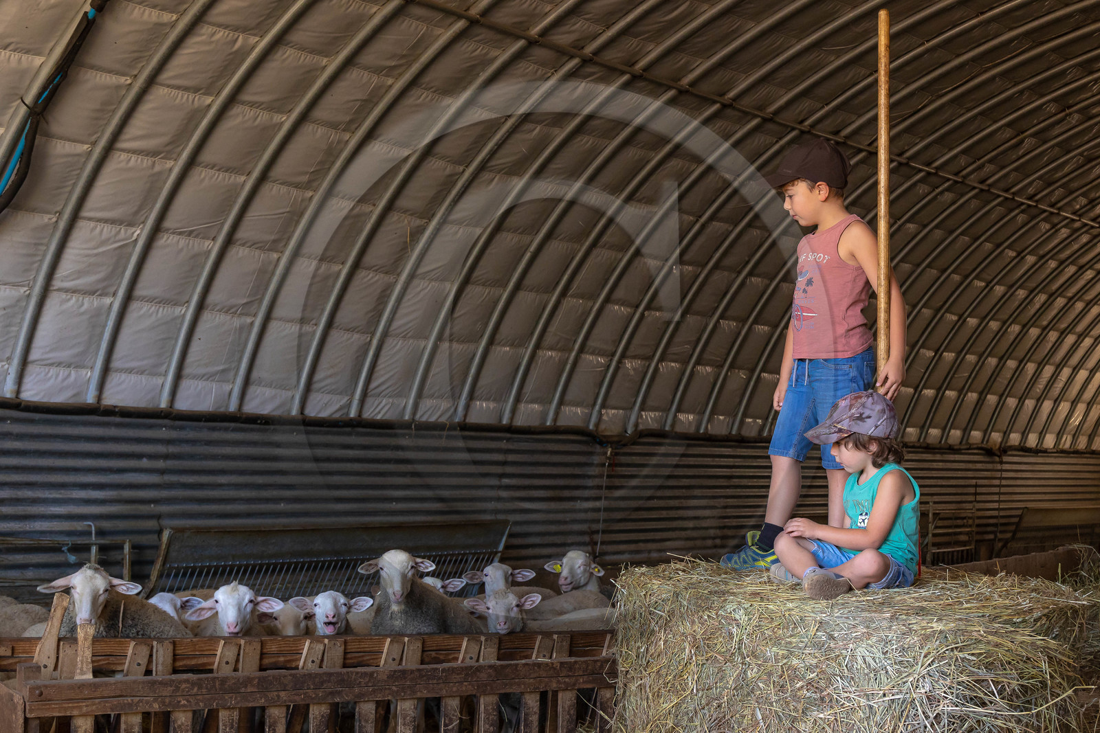 Ferme des Bichoux
