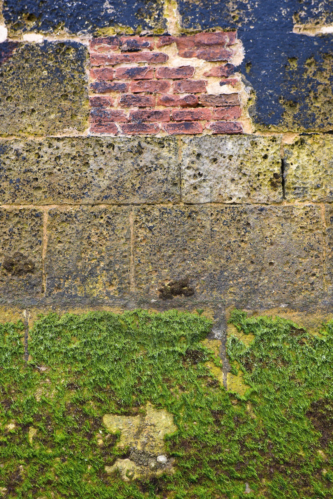 Saint-Martin-de-Ré, Fortifications Vauban inscrites au patrimoi