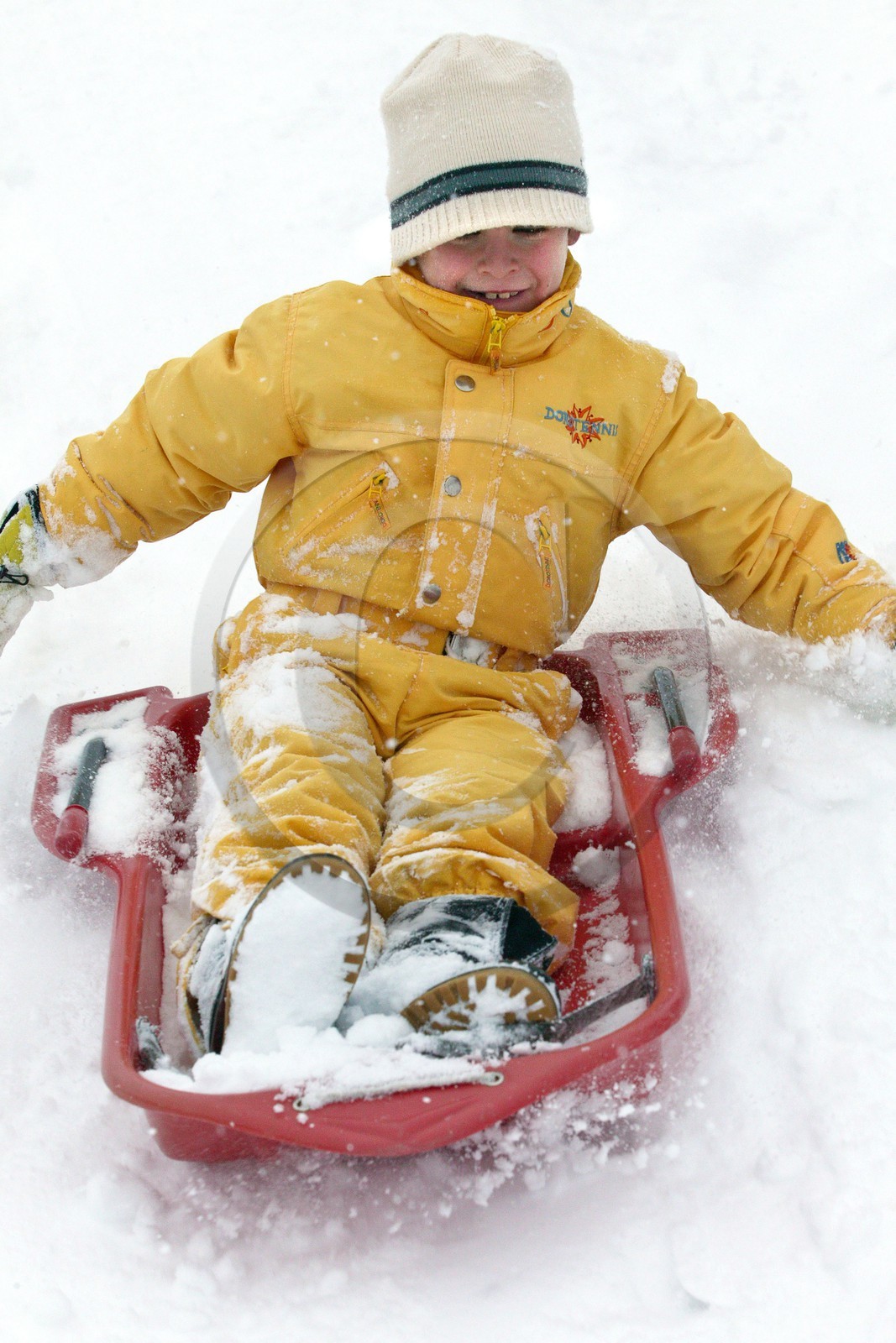 Luge d'hiver