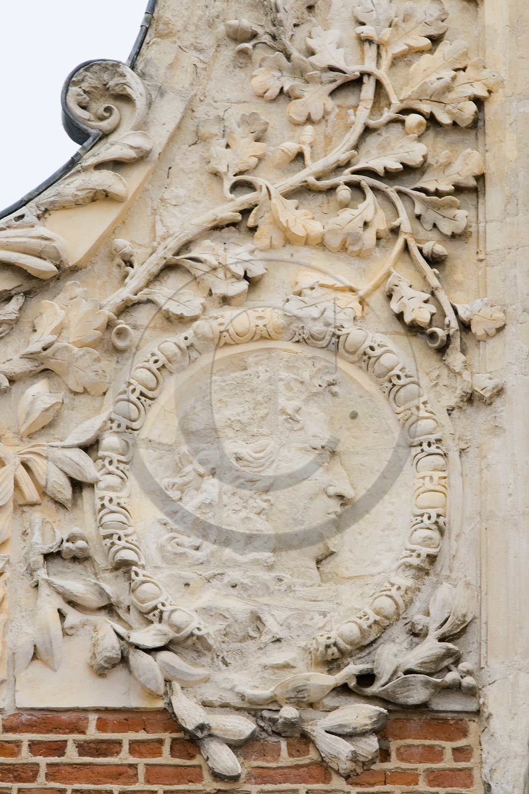 Arras