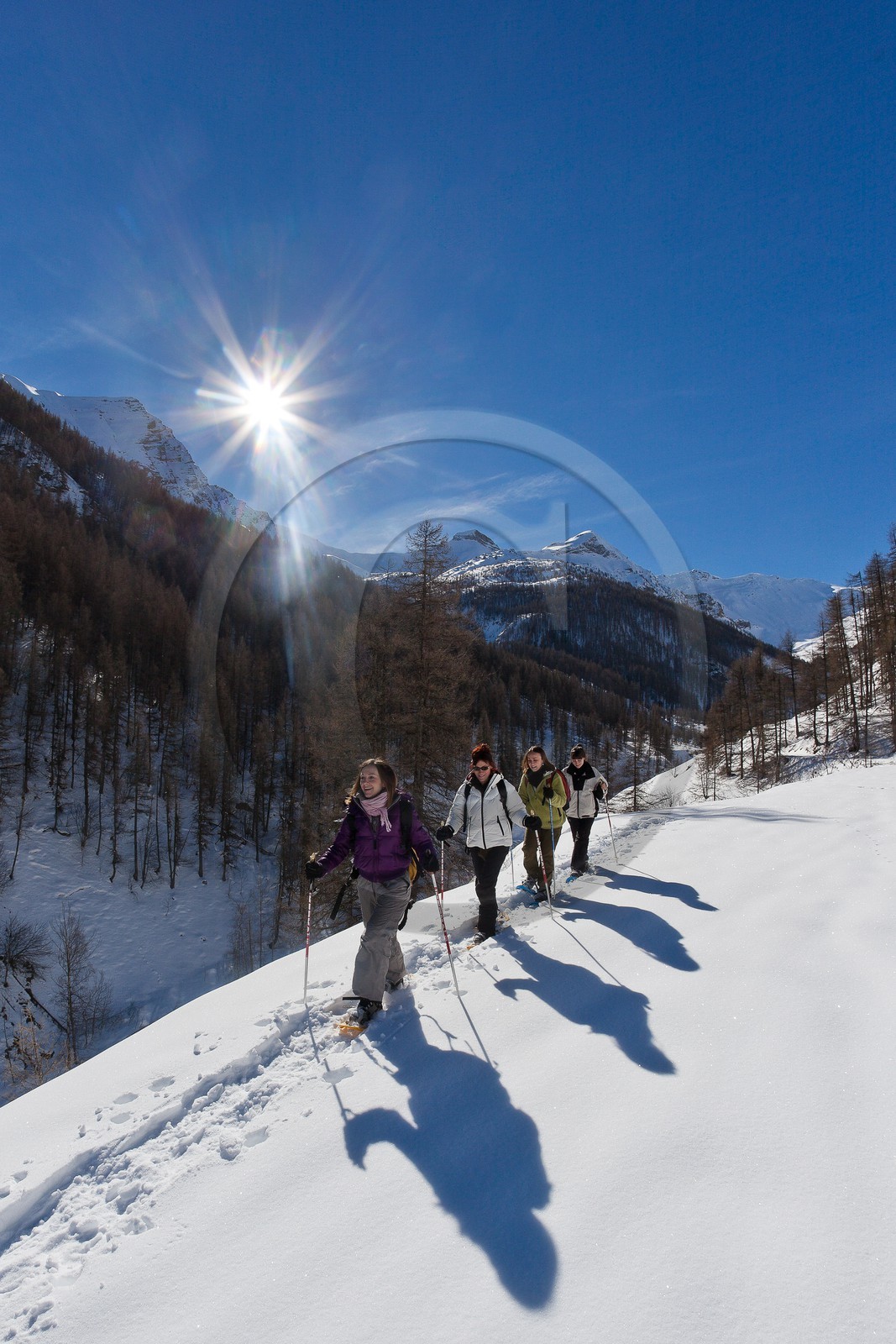 Randonnée raquettes