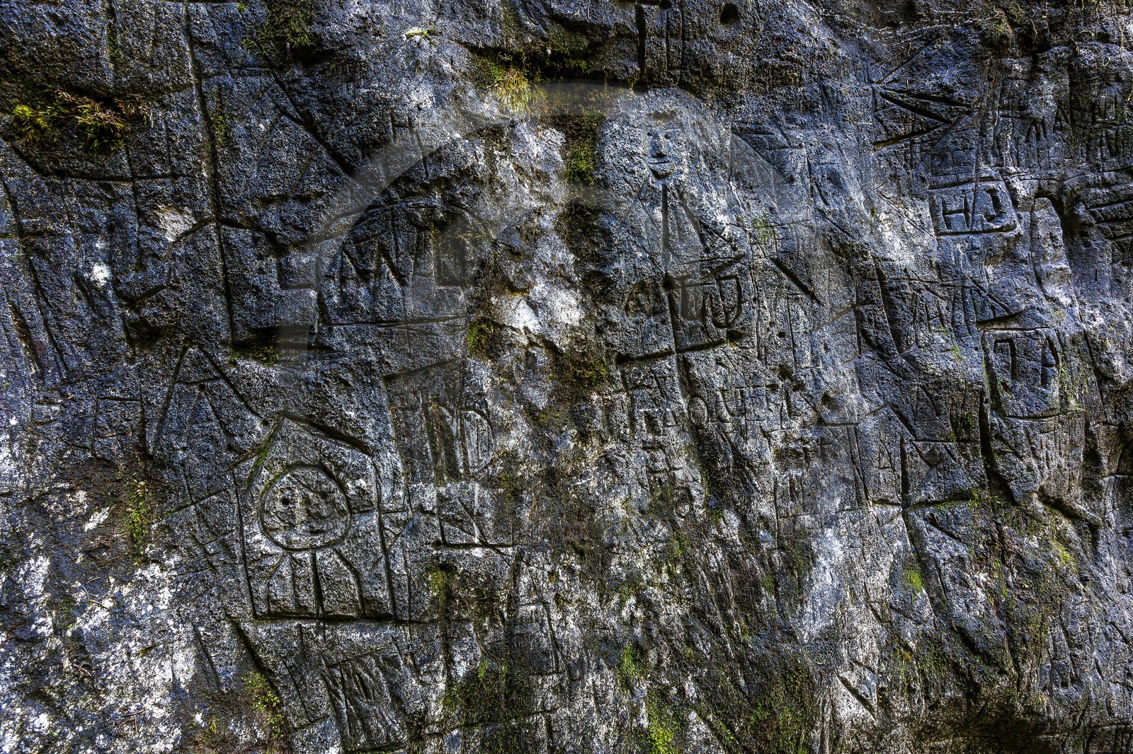 ENS de l'Isère, Plateau de la Molière et du Sornin, Le Puits aux Ecritures, gravures rupestres