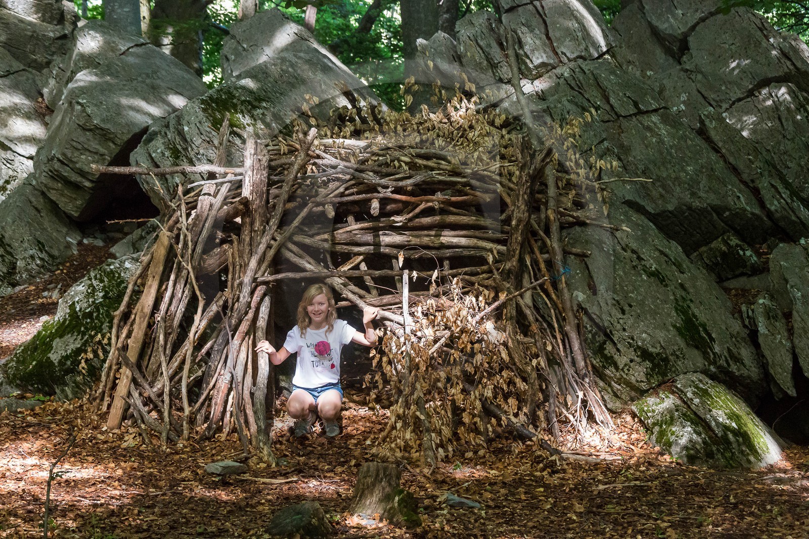 Alpes de Haute-Provence, hêtraie de Pontis