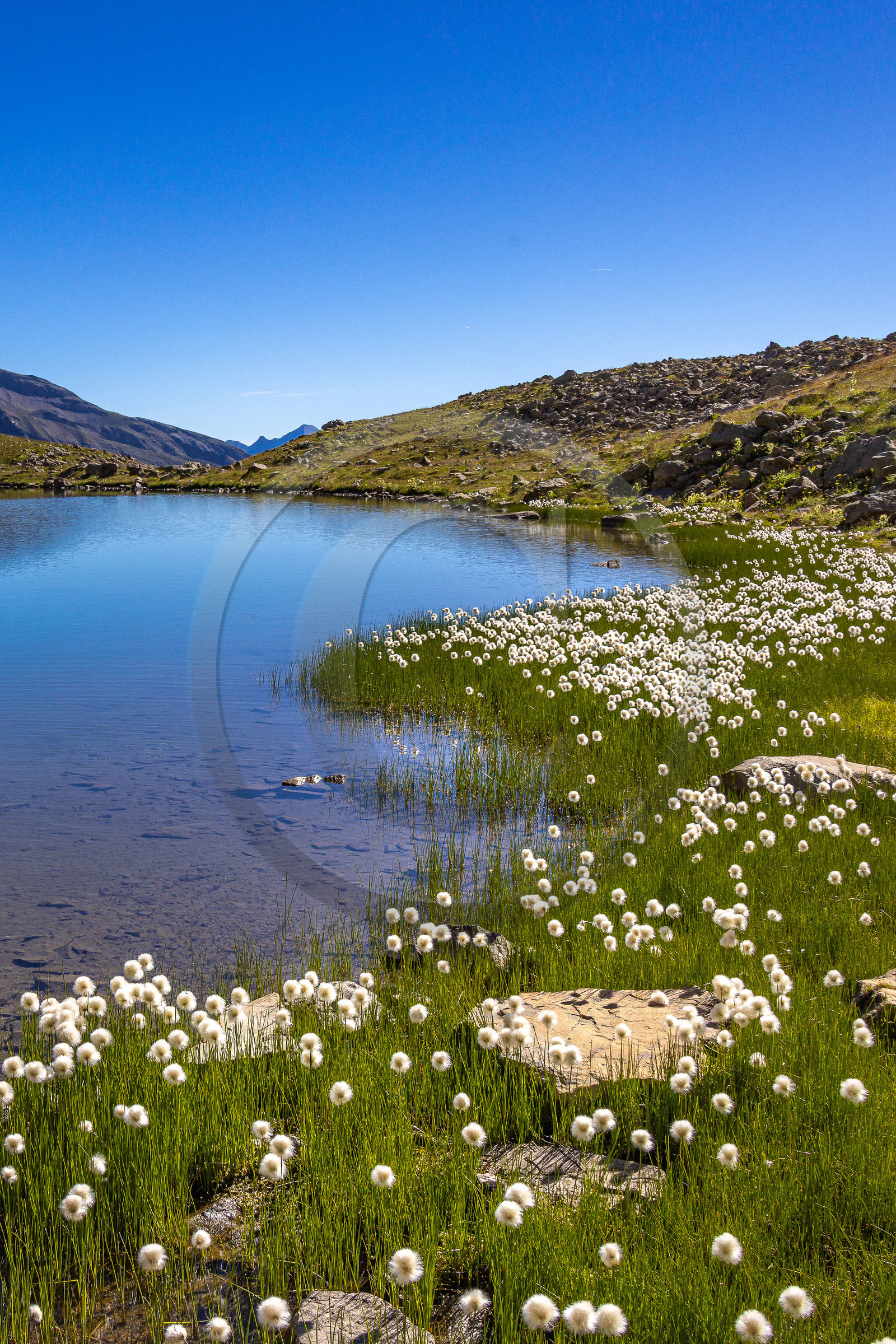 Lac Palluel