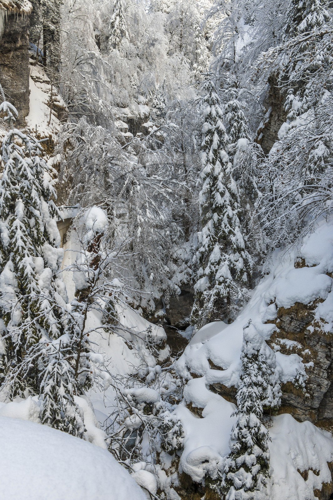 ENS de l'Isère, Les Ecouges ENS de l'Isère, Les Ecouges