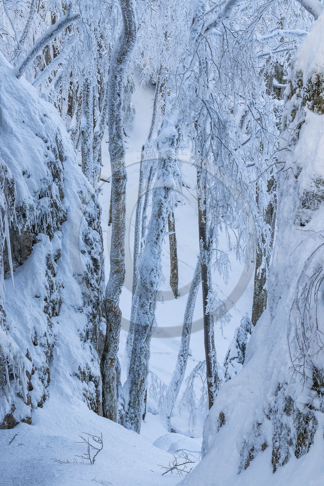 ENS de l'Isère, Les Ecouges ENS de l'Isère, Les Ecouges