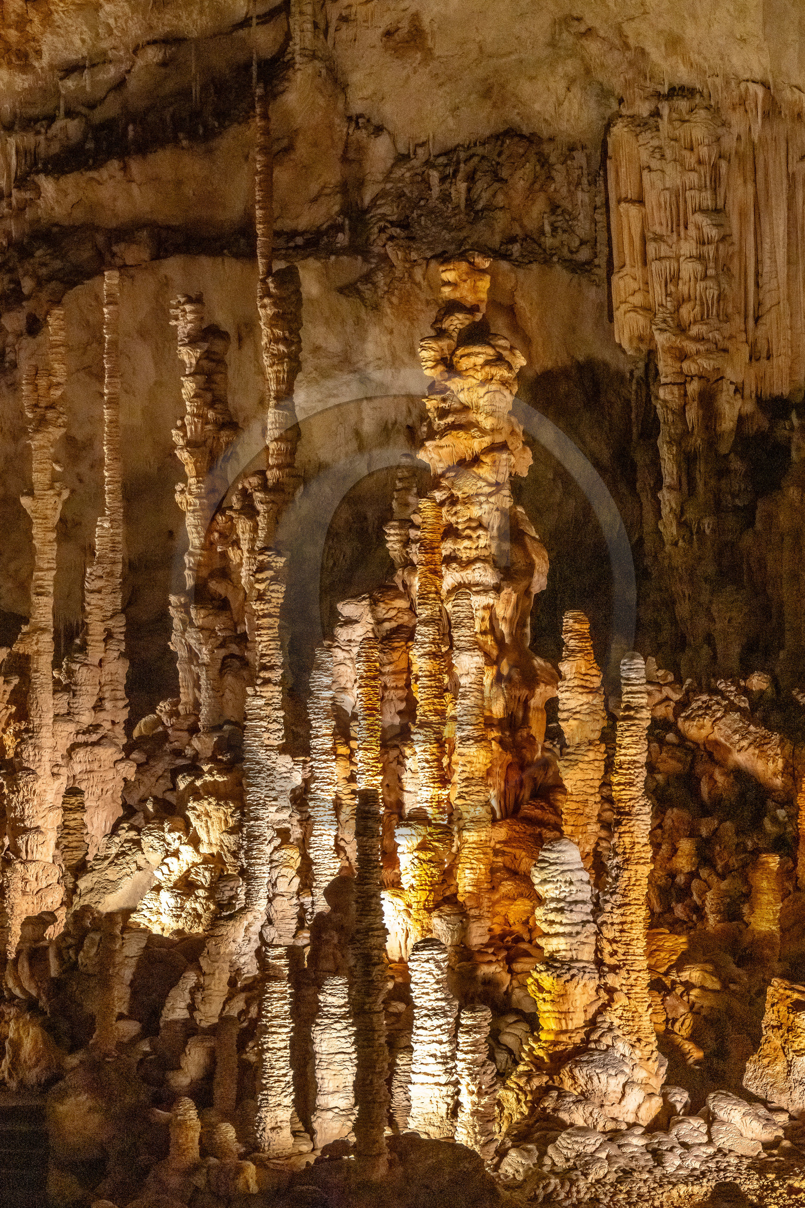 Grotte de Dargilan