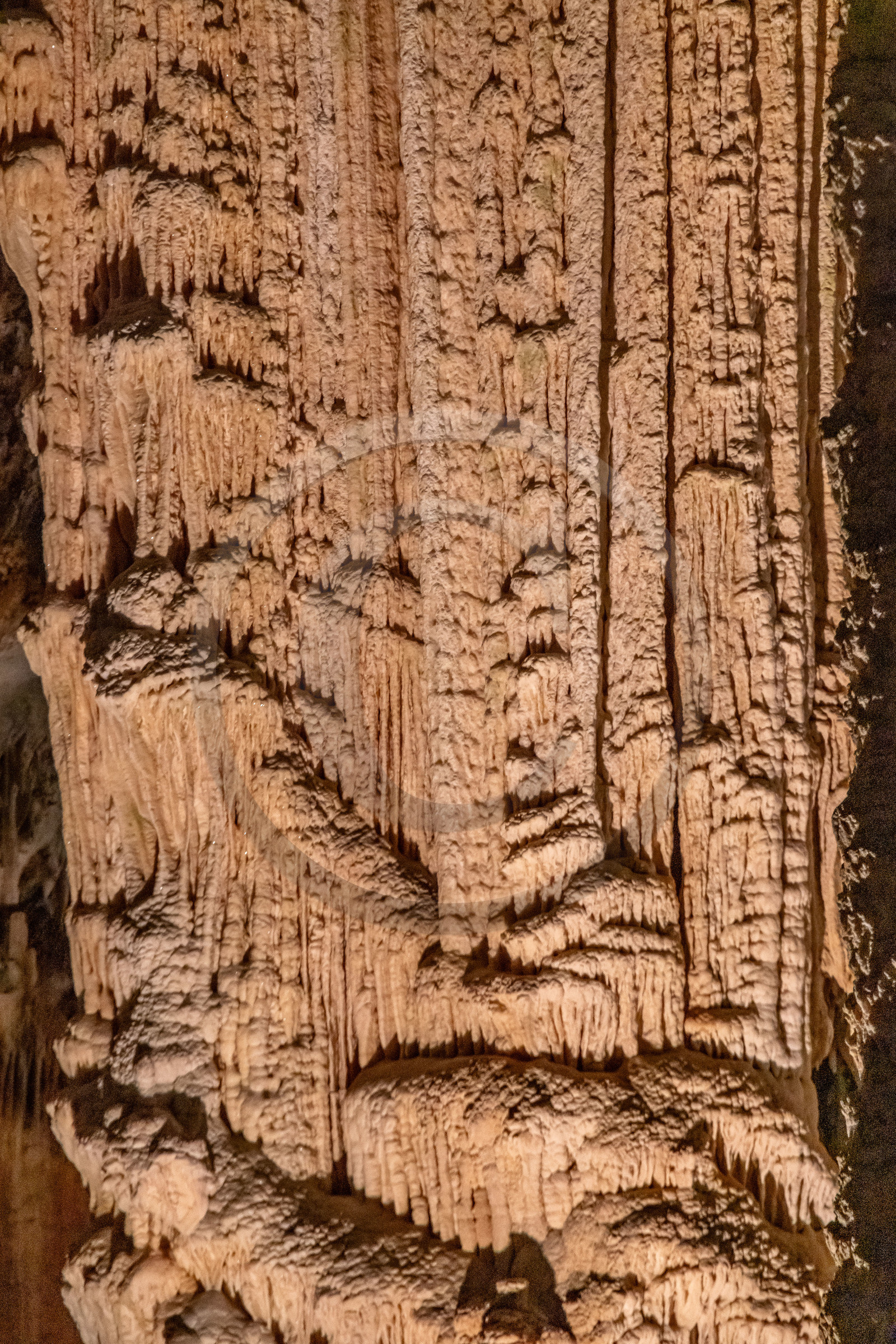 Grotte de Dargilan