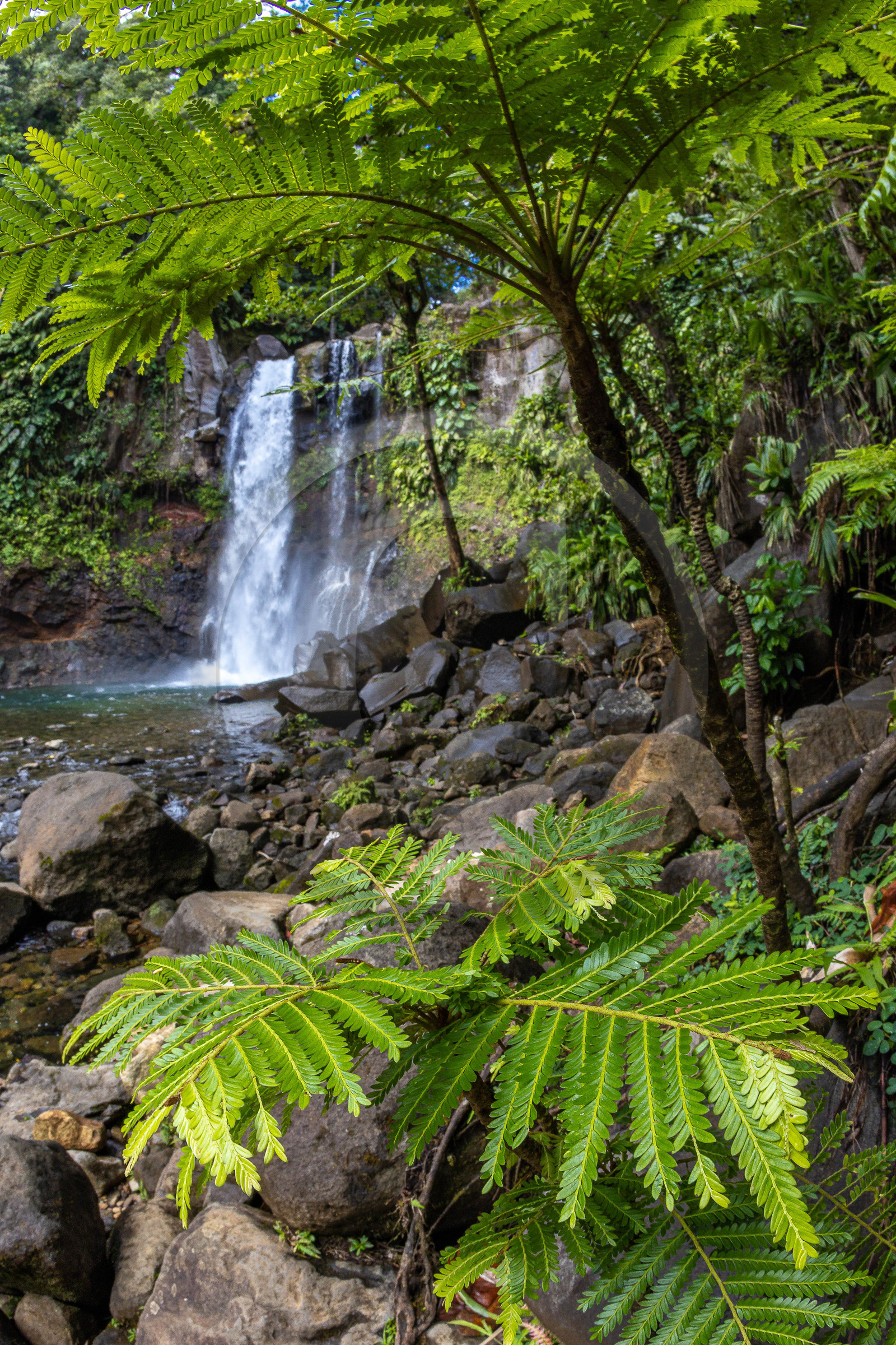 Chute du Carbet, Parc national de la Guadeloupe