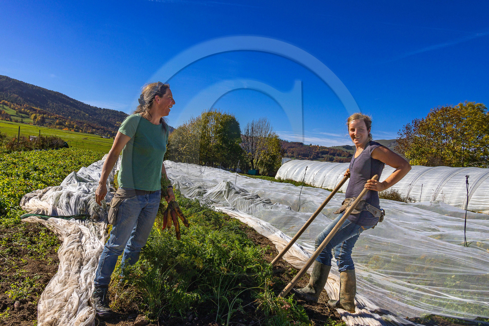 LéguMontagne, Sylvie Jaussaud et  Bertille Gieu, Maraîchères bio