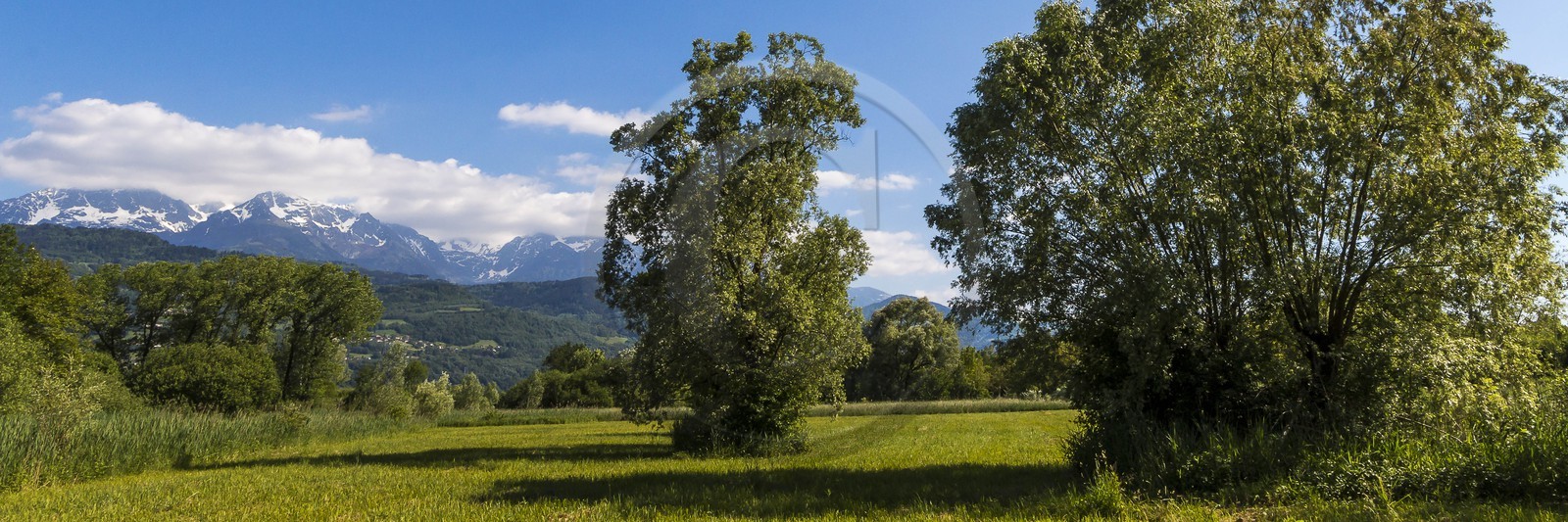 ENS de l'Isère, Marais de Montfort