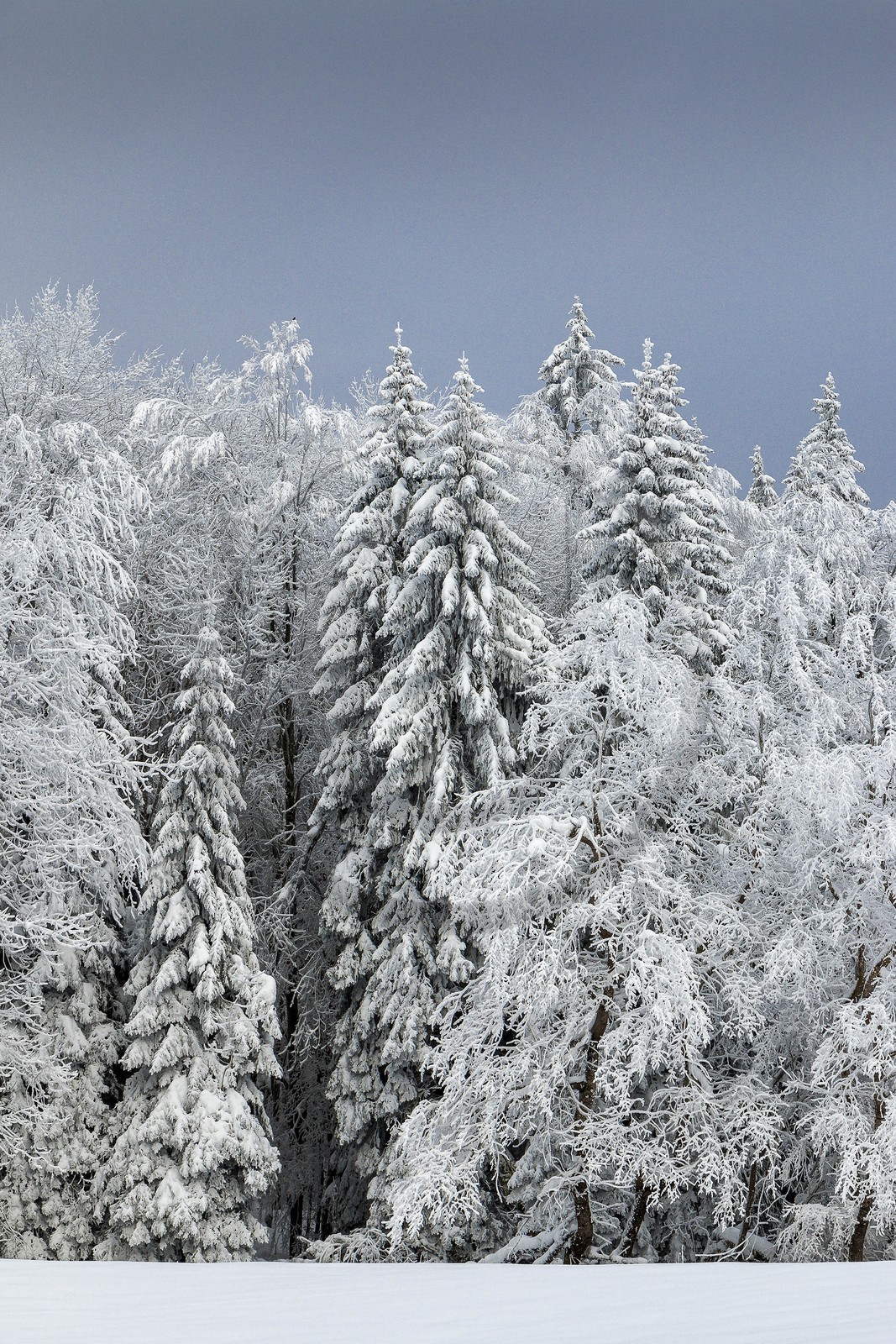 ENS de l'Isère, Les Ecouges ENS de l'Isère, Les Ecouges