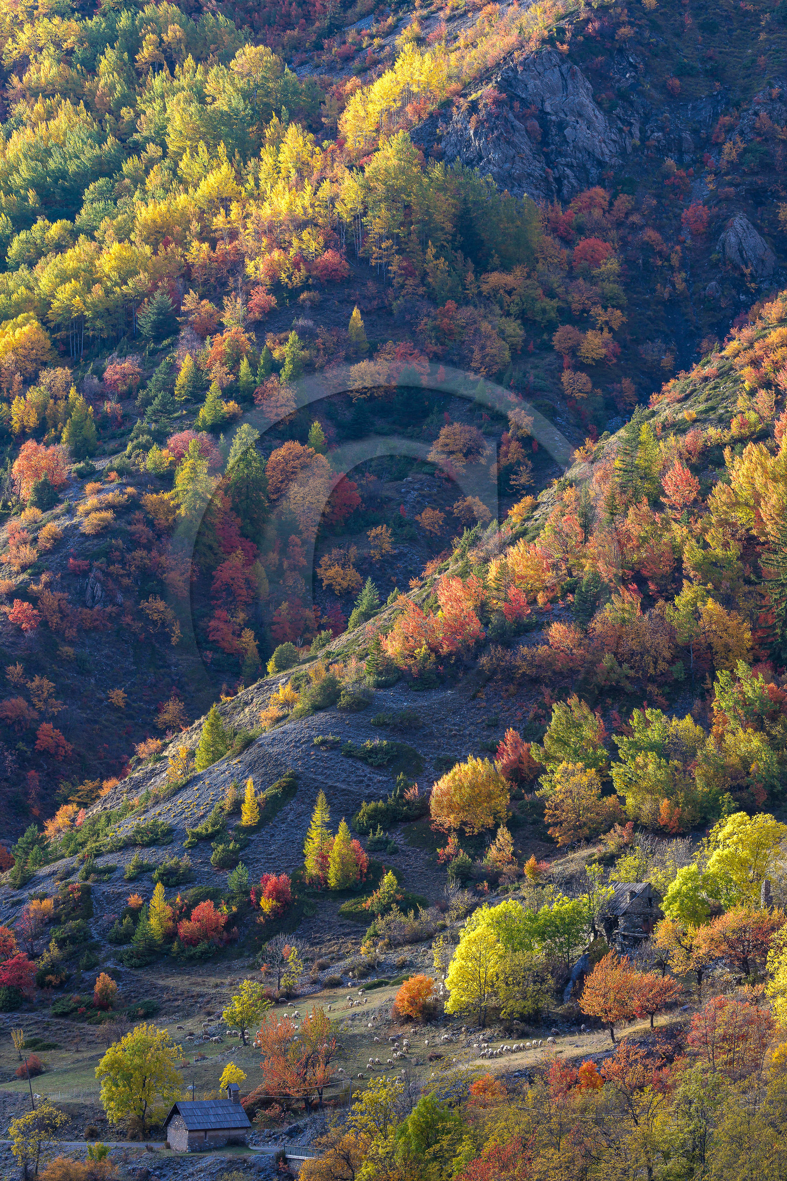 Col de la Cayolle, chapelle Saint-Jean Baptiste